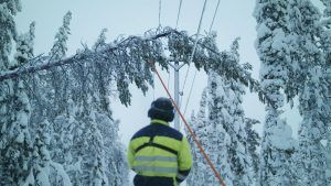 Ett träd har ramlar över en elledning. Medarbetare på Skellefteå Kraft står och ska ta bort trädet. 